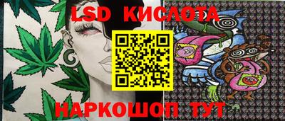 дмт Обнинск